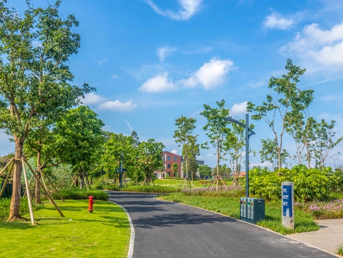 Chongqing Park