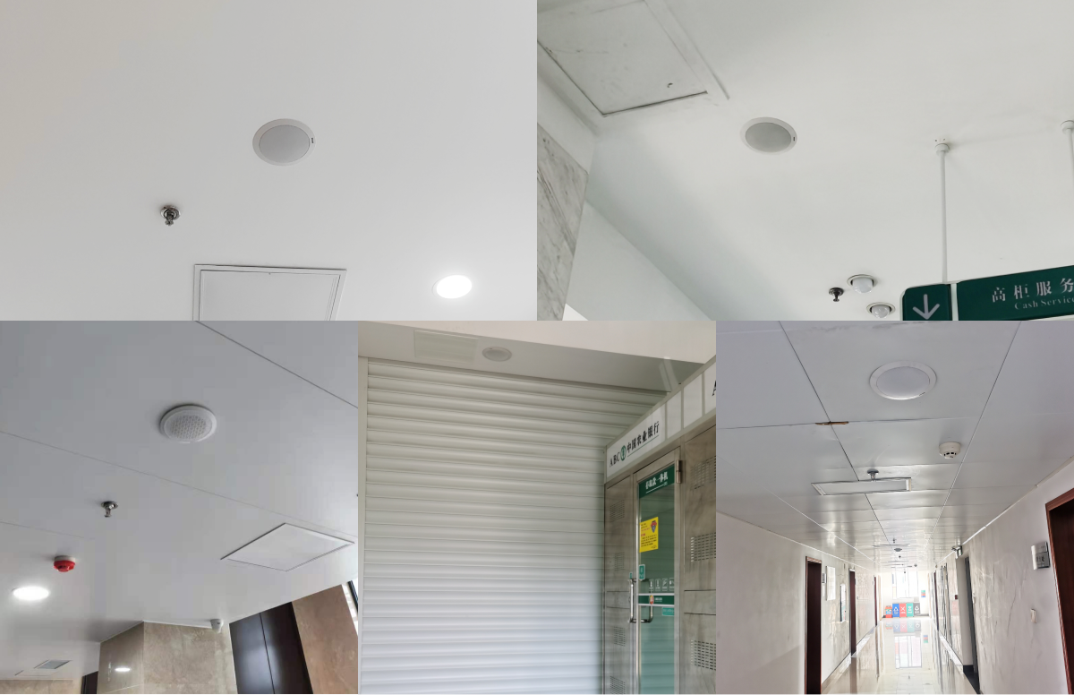 Cases Of SPON IP Ceiling Speaker