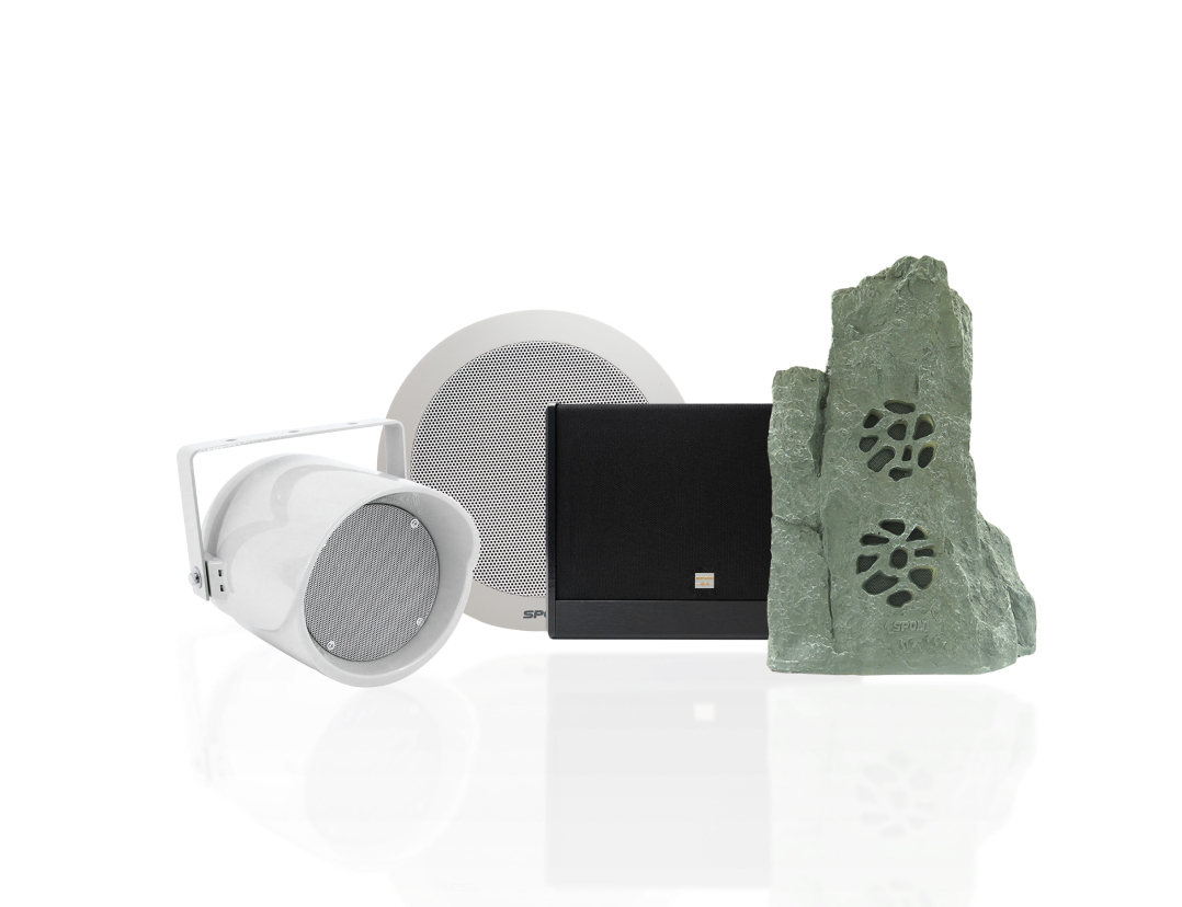 Analog Speaker