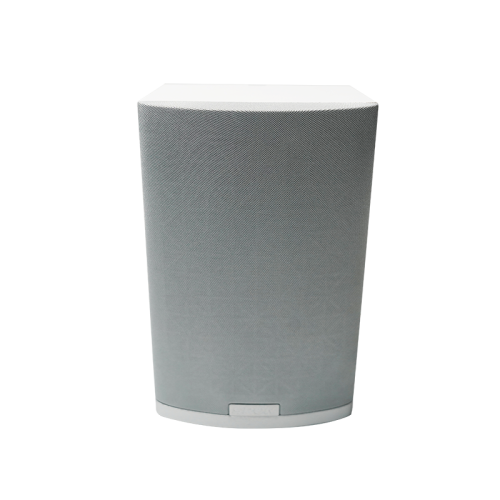 Wall Speaker