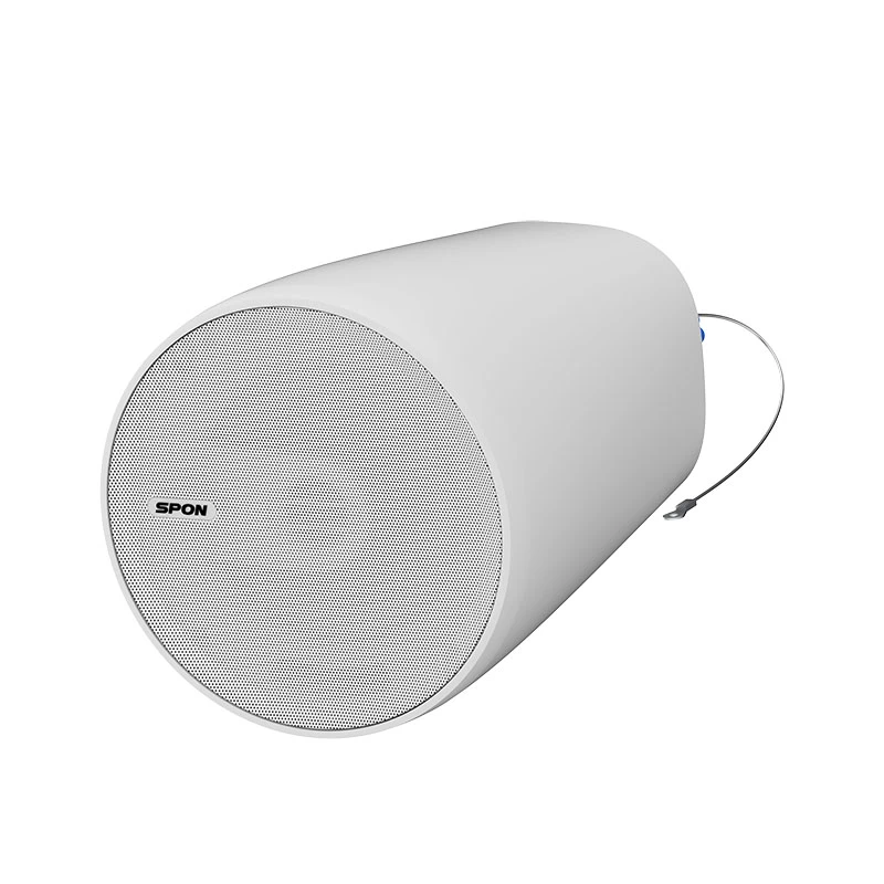 Network Pendant Speaker